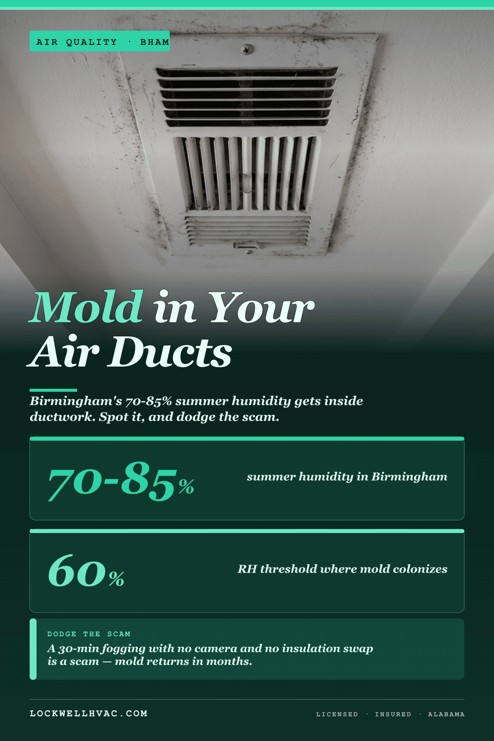 Mold in air ducts — Birmingham AL HVAC infographic